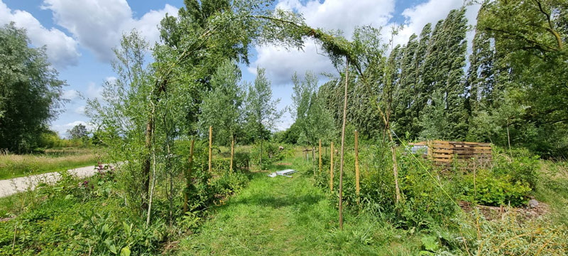 Boskruit2