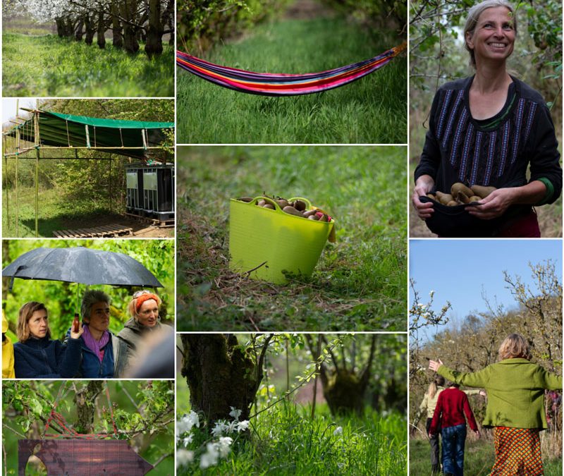 VISITE – Jardin-forêt – S-poire