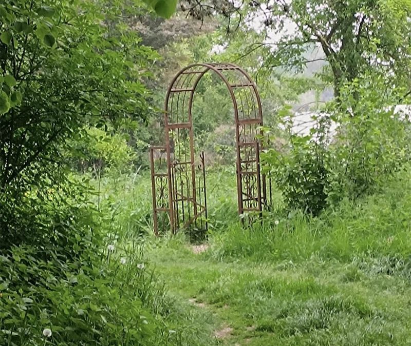 VISITE – Jardin-forêt – Cense équi’voc asbl
