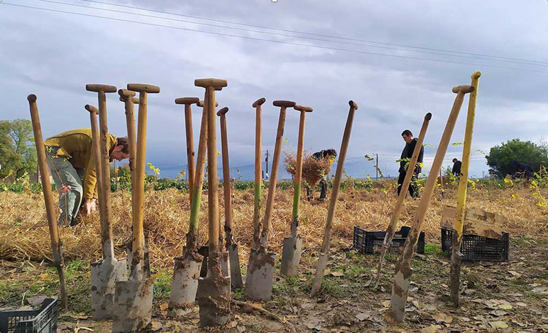 Plantation participative d’une forêt Miyawaki avec Urban Forest