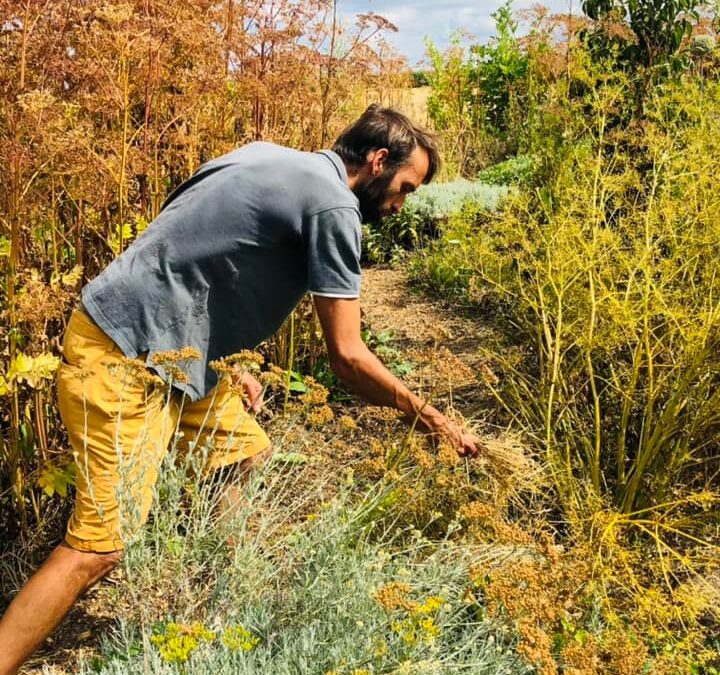 CONFÉRENCE – De la graine au jardin-forêt